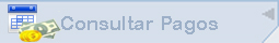 Consultar Pago
